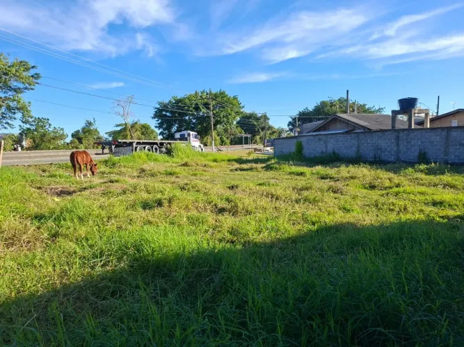 Terreno para Venda em Itajaí, Cordeiros