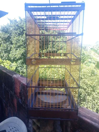 GAIOLA USADA MAS EM BOM ESTADO!