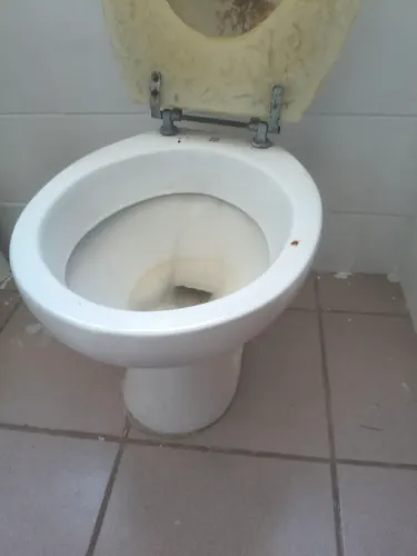 Vaso sanitário