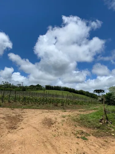Chácara 30.000m2 Casa Simples,Baracão,Boa Topografia,Poço Artesiano,Rica em Água,11 mil pé