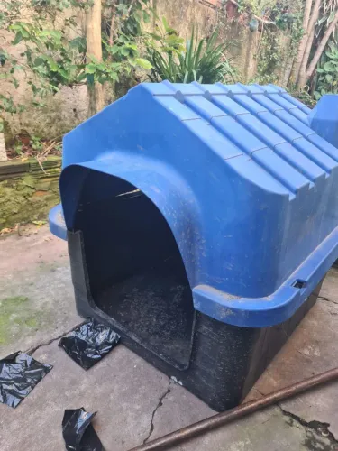 Casa grande para cães