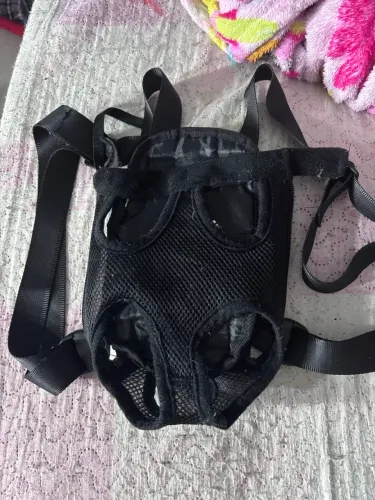 Canguru de pet e sanitário 