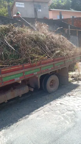 Serviços
