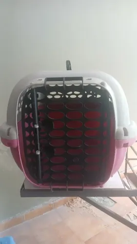CAIXA TRANSPORTE PET