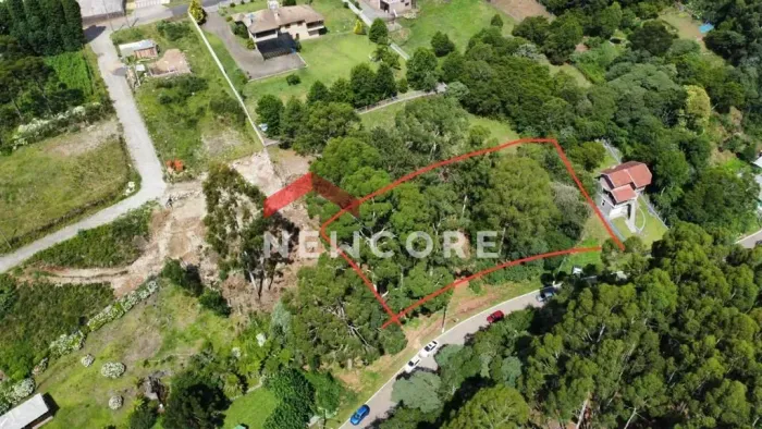 Lote em Rua Alziro Tôrres Filho - Centro - São Francisco de Paula/RS