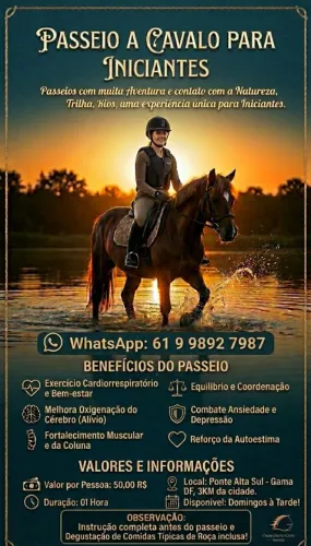 Passeio a Cavalo para Iniciantes