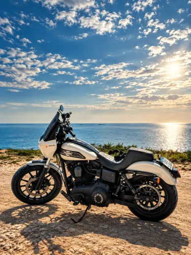 ? HARLEY-DAVIDSON DYNA SUPER GLIDE FXD 2010 ?