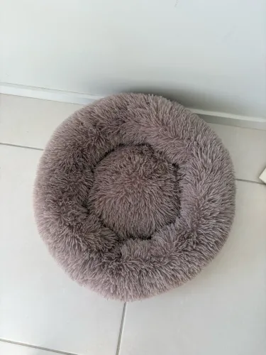 Cama pet