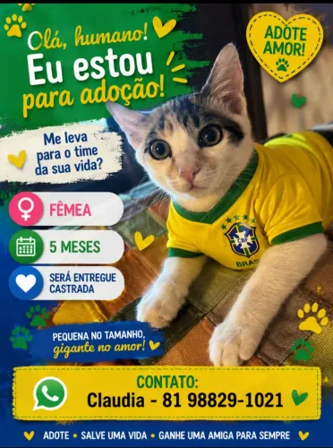 Me leva para torcer contigo?!