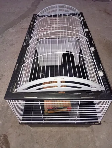 Casa para hamster, coelho entre outros