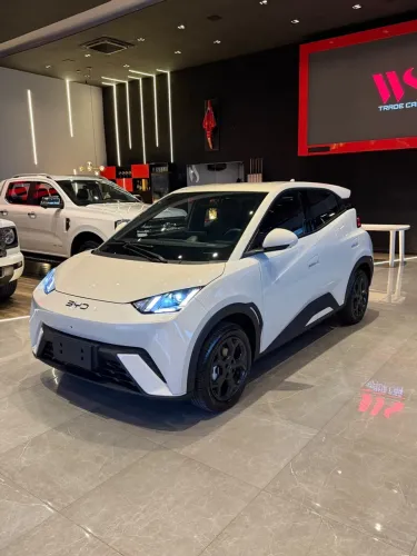 BYD Dolphin Mini (Elétrico) 2027