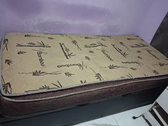 Colcao de solteiro bom castor 