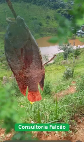 Lotes próximo da cachoeira