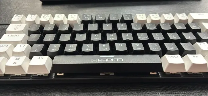 Teclado gamer Warrior Royal Precision Iluminação RGB Pb - TC314