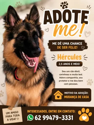 Adote me 