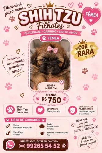 Vendo Shitszu