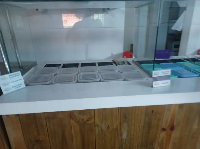 Sorveteria 