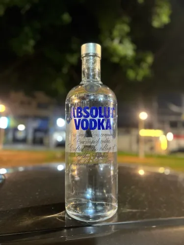 Absolut 5L 