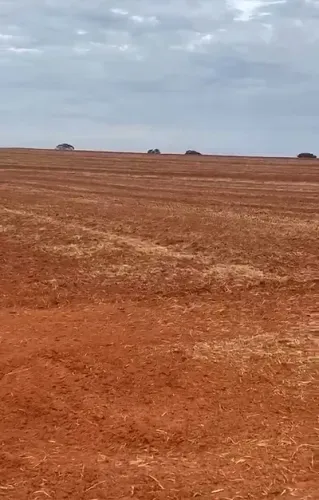 TERRA ROXA - Área Rural 50 Alqueires