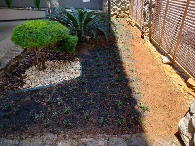 Serviços de jardinagem