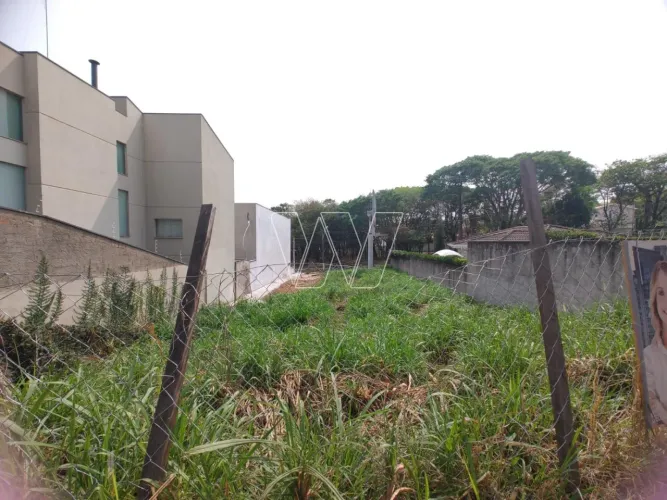 terreno - Bairro das Palmeiras - Campinas