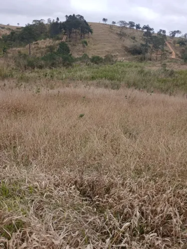terreno 2 mil m2 com córrego no fundo em Piracaia SP