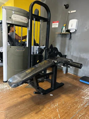 Mesa flexora
