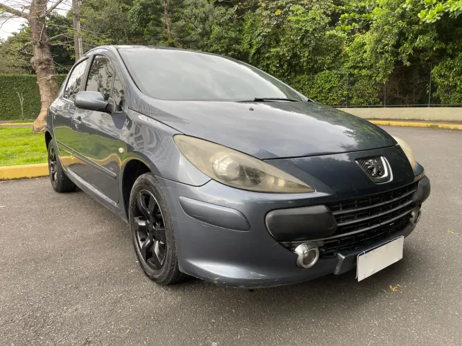 Peugeot 307 Soleil/ Presence 1.6/1.6 Flex 16V 5P 2009