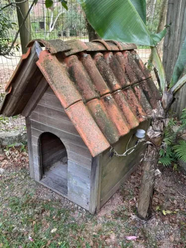 CASINHA DE CACHORRO