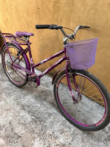 Bicicleta Adulto