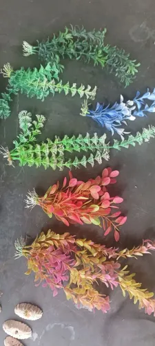 Oranmentos para aquário