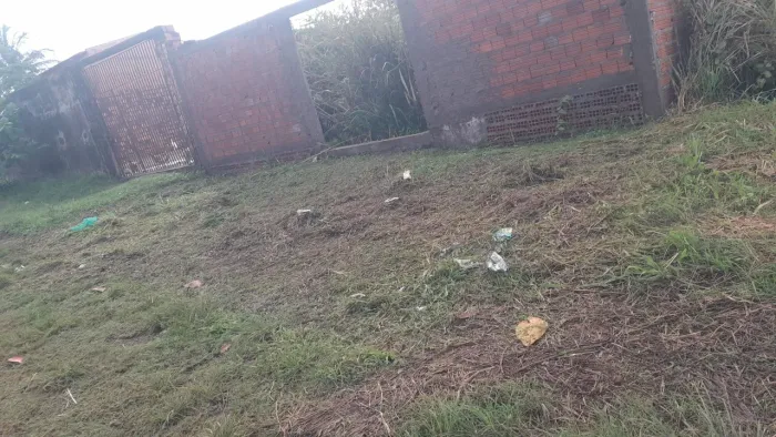 Trabalhamos com limpeza de terrenos 