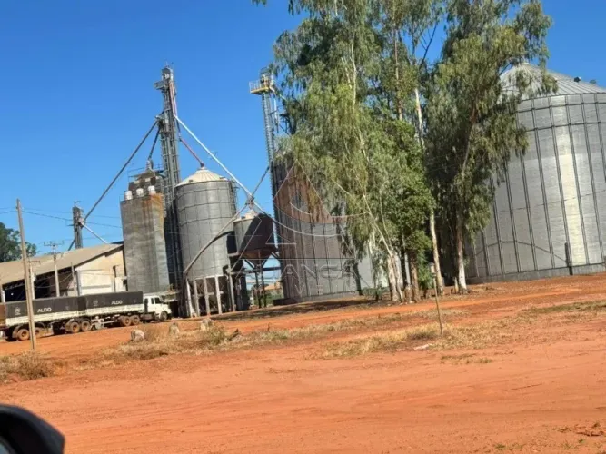 Fazenda - São José do Rio Claro - Zona Rural