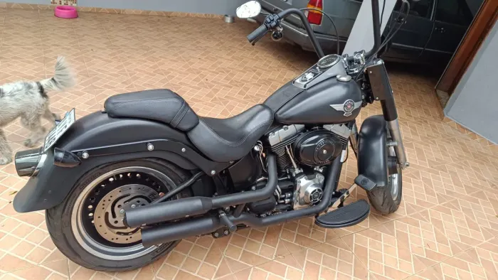 Fat Boy low/special 2014