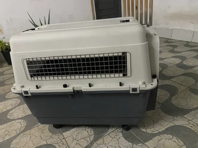 Caixa de Transporte Pet ?