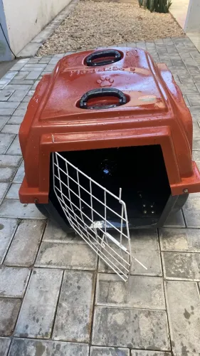 Casa Grande para Pet