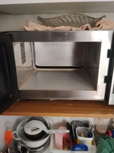 Microondas