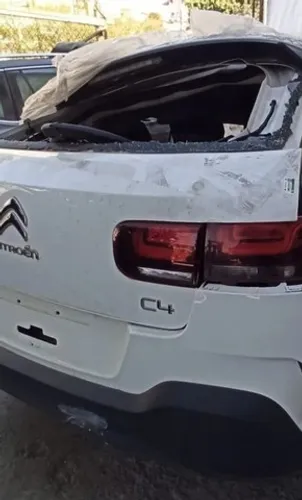 Sucata c4 cactus 2020