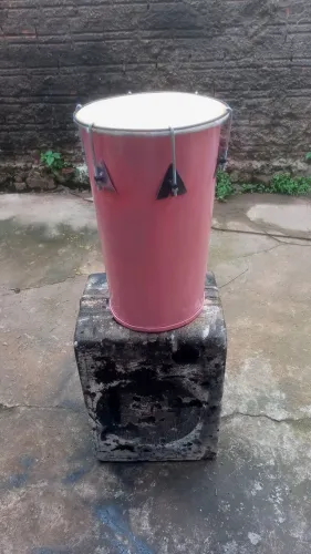 Vendo tantan de 10 polegadas por 250 reais