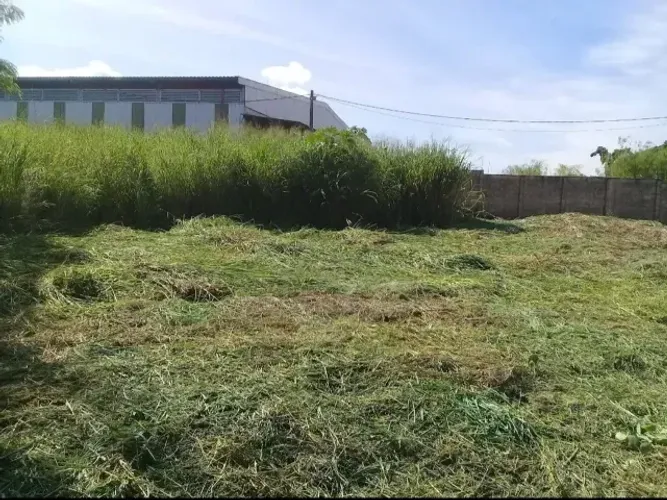 Serviço de roçagem de lotes chácaras em geral Fazemos serviços de roçagem de lotes chácara