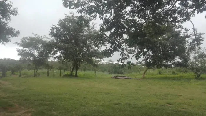 Fazenda em Almas. Parte em permuta.