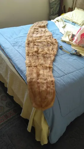Pele de Animal