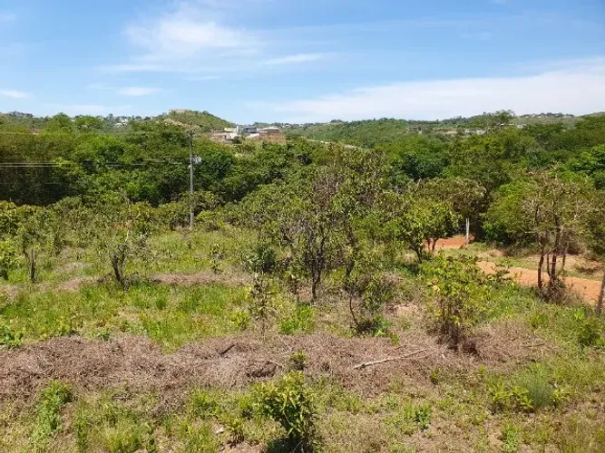 Terreno Jardim Botânico, Solar da Serra, Venda ou Permuta - 3.519 m² - Esquina Vista Livre