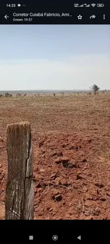 Fazenda de arrendamento 1.300 hec planta, em novo são Joaquim MT.