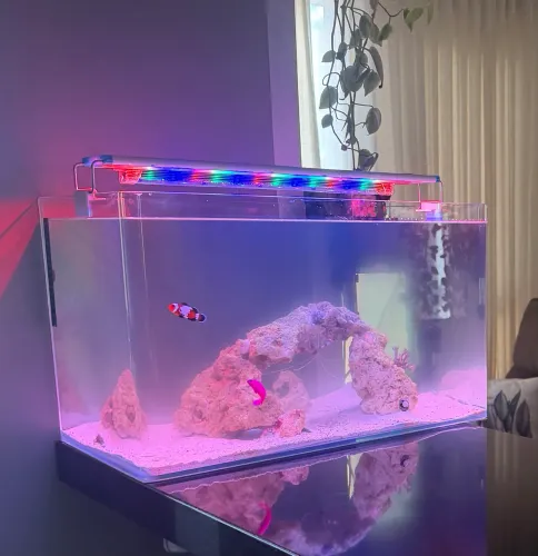 Aquario 40 lts