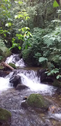 Terreno em São Francisco Xavier