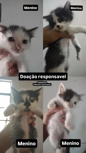 Adoção solidária 