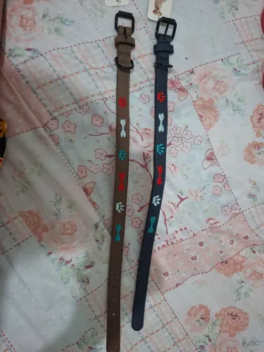 Coleira de pet