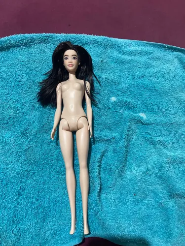 Lote de Barbies