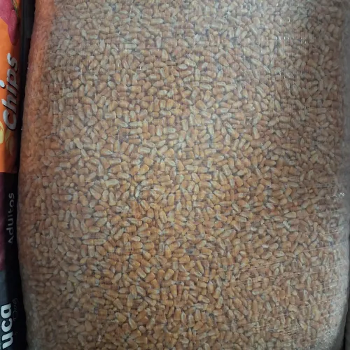 Vendo milho 25kg novo barato 